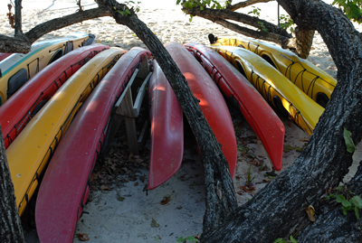 kayaks